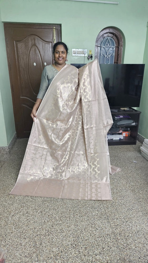 Rose Gold - Fancy Saree