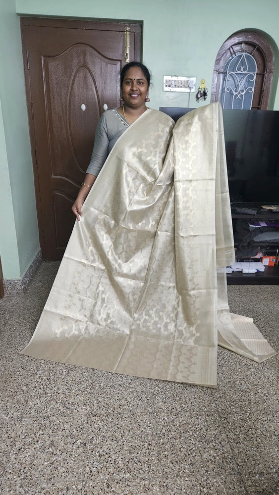 Ivory - Fancy Saree