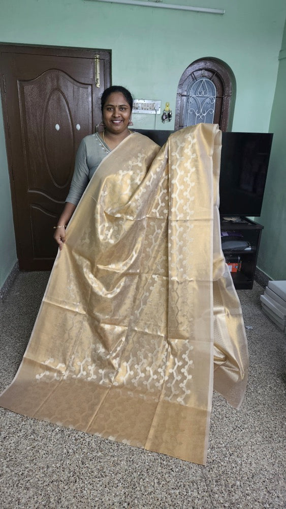 Golden - Fancy Saree