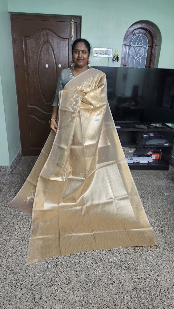 Golden - Fancy Saree